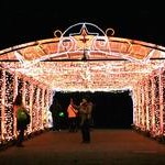 府立植物園　観覧温室夜間開園＆クリスマス・イルミネーション